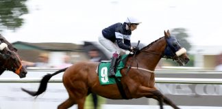 UK Racing launches working party to improve ‘culture of respect’