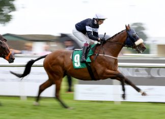 UK Racing launches working party to improve ‘culture of respect’