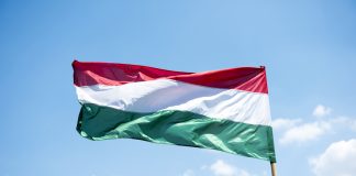 FINA declares Budapest as host of 2022 World Championships