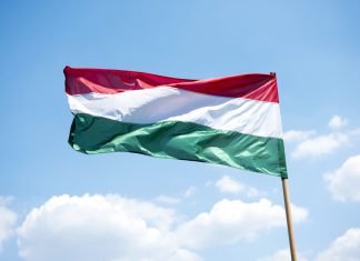 FINA declares Budapest as host of 2022 World Championships