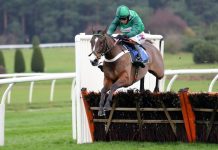 Annamarie Phelps to step down as BHA Chair in May