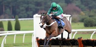 Annamarie Phelps to step down as BHA Chair in May