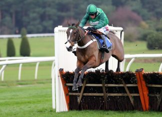 Annamarie Phelps to step down as BHA Chair in May