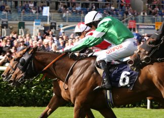 Jockey draft team managers revealed as Racing League returns