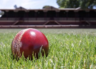 Cricket Australia extends ‘supportive’ Toyota partnership
