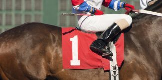 Racehorse Lotto targets ‘proven demand’ with planned £2m raise