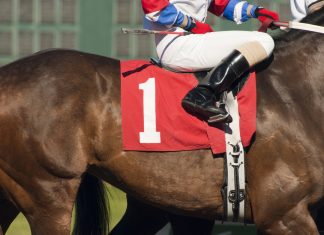 Racehorse Lotto targets ‘proven demand’ with planned £2m raise