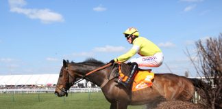 UK charities ‘in the money’ following MP Grand National bets