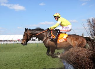 UK charities ‘in the money’ following MP Grand National bets