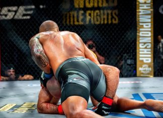 Rival enters combat sports space with PFL gaming partnership