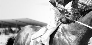 Life of ‘legendary’ Red Rum celebrated through Sean Corcoran art