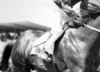 Life of ‘legendary’ Red Rum celebrated through Sean Corcoran art