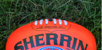 AFL brings fans ‘authentic connection’ to football with first Reddit avatars