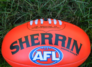 AFL brings fans ‘authentic connection’ to football with first Reddit avatars