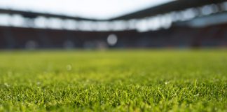 Trident Leagues and Entain connect football fans and volunteers