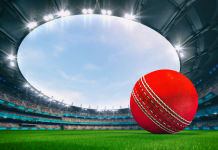 ECB renews Sportradar live data and fan engagement partnership