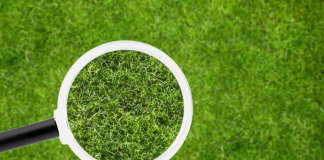 Genius Sports provides ‘unparalleled’ integrity intelligence to sports organisations