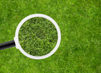 Genius Sports provides ‘unparalleled’ integrity intelligence to sports organisations