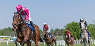 Horseracing levy contribution set to remain at around £99m for 2022/23
