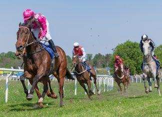 Racing Queensland to receive 80% betting tax revenue in new funding model