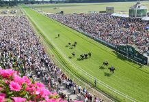 York Racecourse boosts prize funds in Sky Bet sponsorship renewal