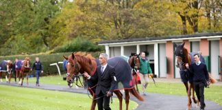 British Horseracing hires HEROS in ‘collective responsibility’ for equine welfare