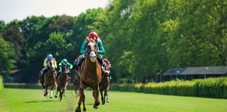 Ayr Gold Cup enters second lap of Virgin Bet partnership