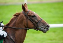 Virgin Bet unveiled as title sponsor of the Cheltenham December Gold Cup race