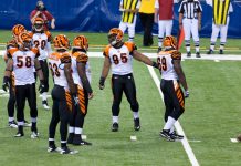 Bengals opens up fan engagement in Betfred partnership