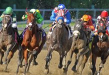 HBA marks 10th year as Breeders’ Cup distribution partner
