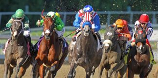 HBA marks 10th year as Breeders’ Cup distribution partner