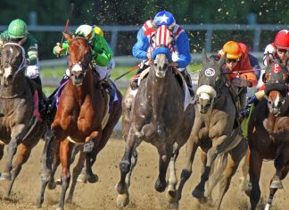 HBA marks 10th year as Breeders’ Cup distribution partner