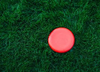 China launches first ever National Ultimate Frisbee League
