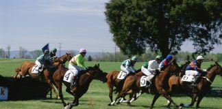 Codere and XBet build on ‘fresh excitement’ of US horse racing