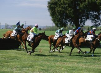 Codere and XBet build on ‘fresh excitement’ of US horse racing