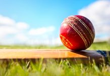 Dream11 becomes lead sponsor of Indian cricket