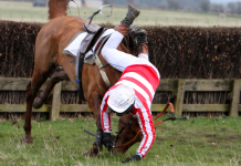 BHA sets new minimum standard for body protectors and helmets
