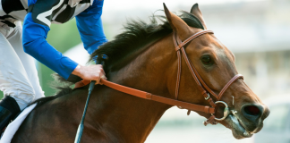 PointsBet and 1/ST Technology target wider US horse racing audience