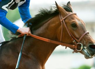 PointsBet and 1/ST Technology target wider US horse racing audience