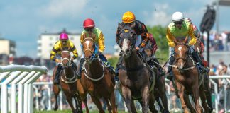 ARC partners BetUK to support Sprint, Middle Distance and Marathon races