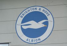 Brighton brings in Zoe Johnson to spearhead women’s football development