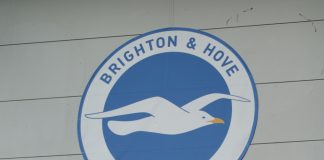 Brighton brings in Zoe Johnson to spearhead women’s football development