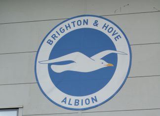Brighton brings in Zoe Johnson to spearhead women’s football development