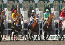 HBA further bolsters reach of Australian and American racing Breeders Cup HBA Media