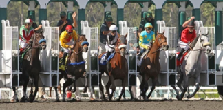 Breeders Cup ups its international profile with 30 media partners Breeders Cup HBA Media