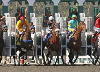 HBA further bolsters reach of Australian and American racing Breeders Cup HBA Media