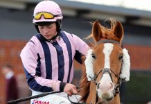 Betfair and Press Box PR ‘world first’ horse race predicts World Cup outcome