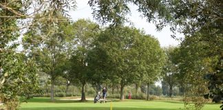 Netherlands host 2026 Solheim Cup as it continues to ‘rejuvenate the sport’