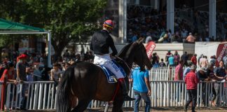 Argentina’s ‘influential’ Gran Premio Nacional gains SIS sponsorship