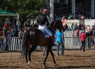 Argentina’s ‘influential’ Gran Premio Nacional gains SIS sponsorship